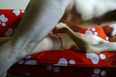 Live ABG Bispak Jakarta Hotel Mewah Skandal Menggemparkan Terbaru 2026